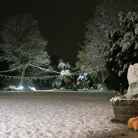 Da Gastone Villa Rivignano Bagian luar foto