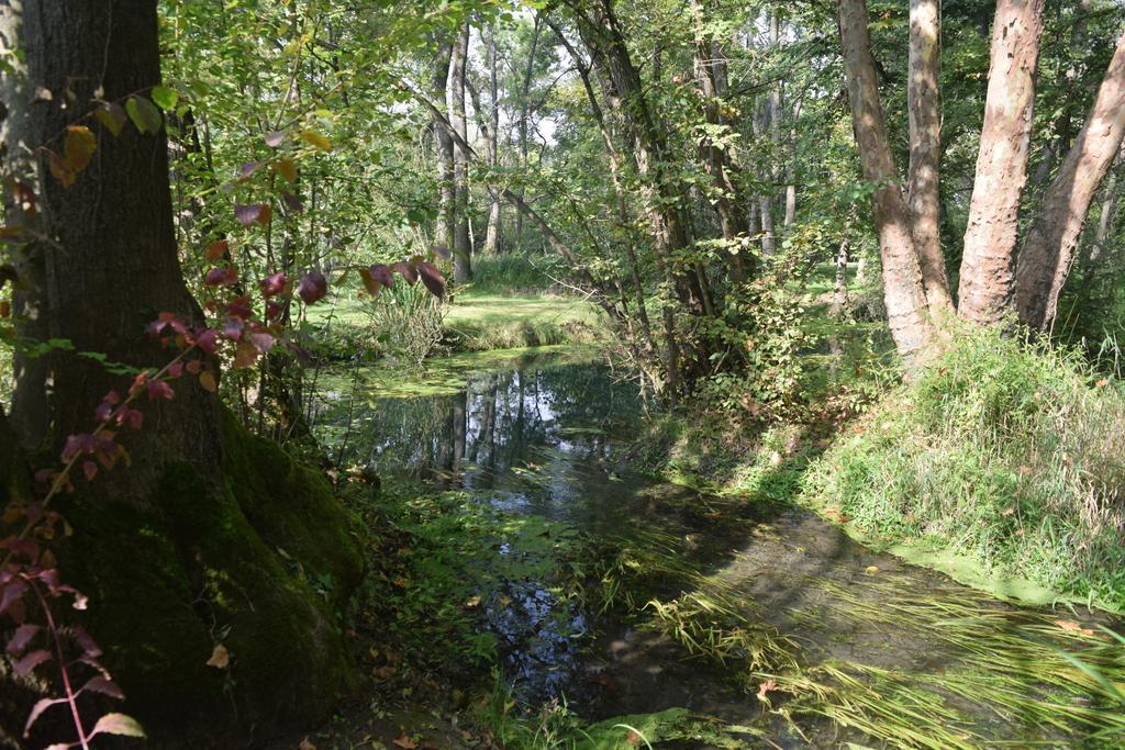 Da Gastone Villa Rivignano Bagian luar foto