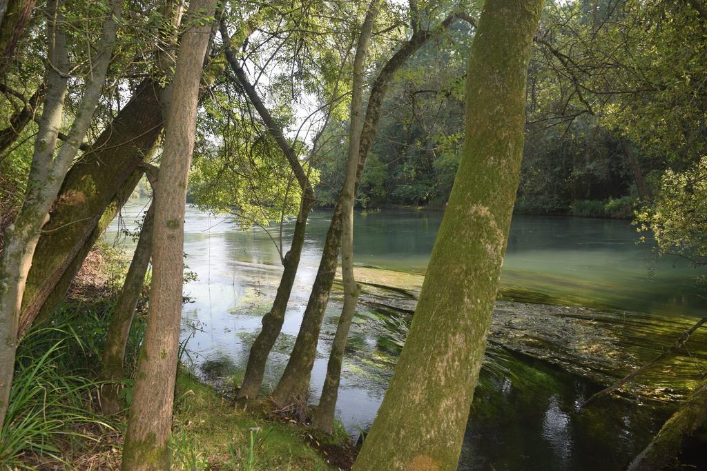 Da Gastone Villa Rivignano Bagian luar foto