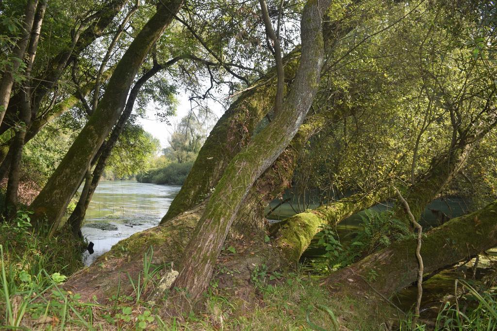 Da Gastone Villa Rivignano Bagian luar foto