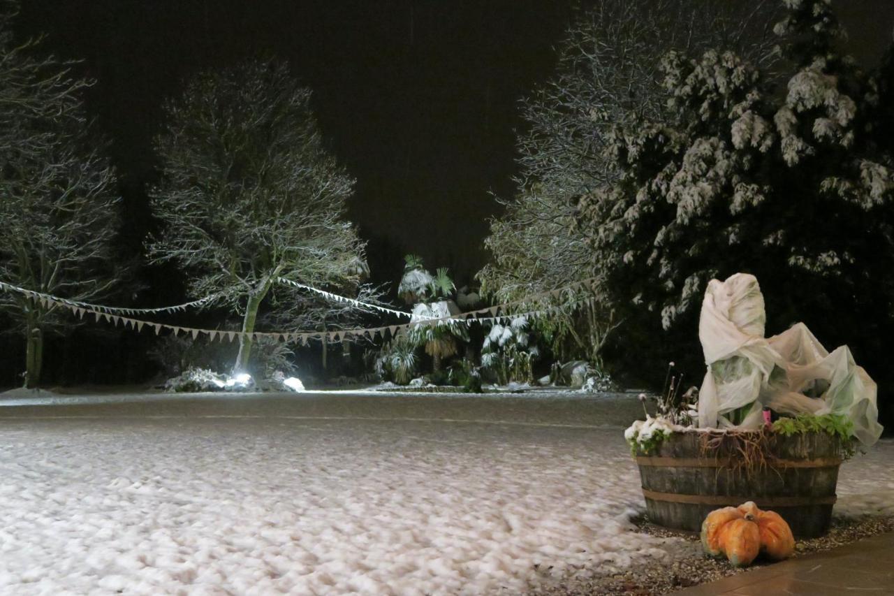 Da Gastone Villa Rivignano Bagian luar foto